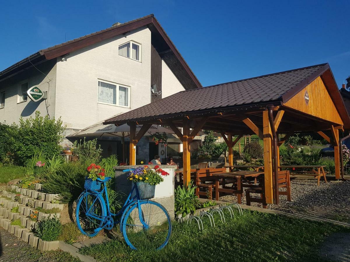 Penzion U Vichu Cervena Voda Exterior photo